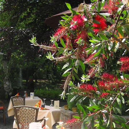 Landidyll Wilminks Parkhotel Neuenkirchen  Eksteriør billede
